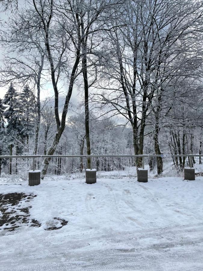 Aventur Studio 212 Am Rotharrsteig Medebach Kültér fotó